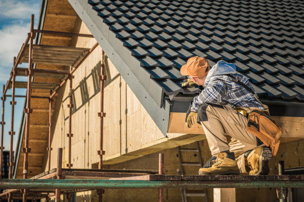 Best Sealant for Roof  in Santa Paula, CA