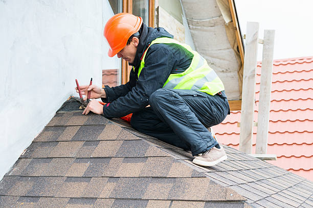 Professional Roofing Contractor in Santa Paula, CA